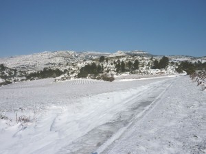 9 March 2010: la Montagne d'Alaric, as seen from Camplong d'Aude